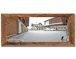 Schneiderbauer-Hof Lamprechtshausen - Fleckvieh-Kalbinnen Aufzucht
